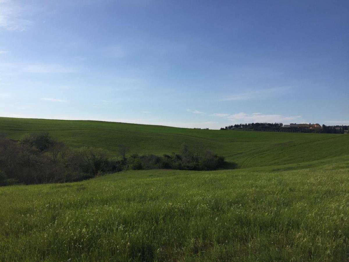 Agriturismo San Leone Волтера Екстериор снимка
